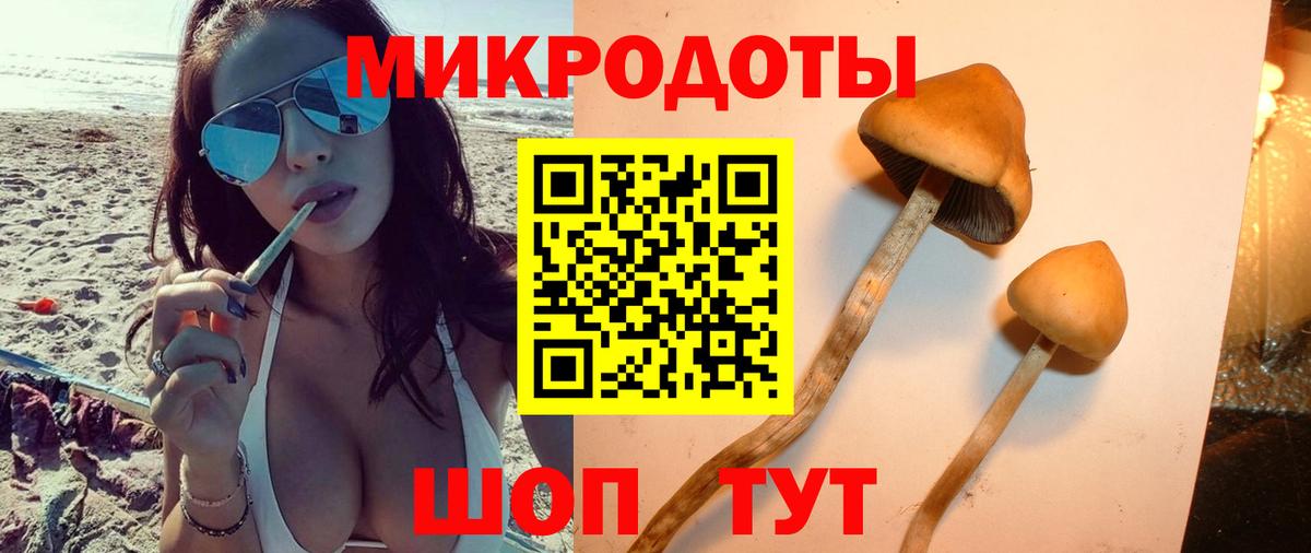 Галлюциногенные грибы GOLDEN TEACHER Балаково