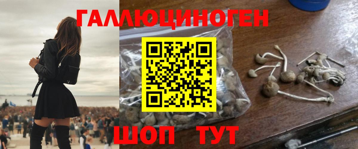 Псилоцибиновые грибы MAGIC MUSHROOMS  Вход с VPN  закладка  Балаково 